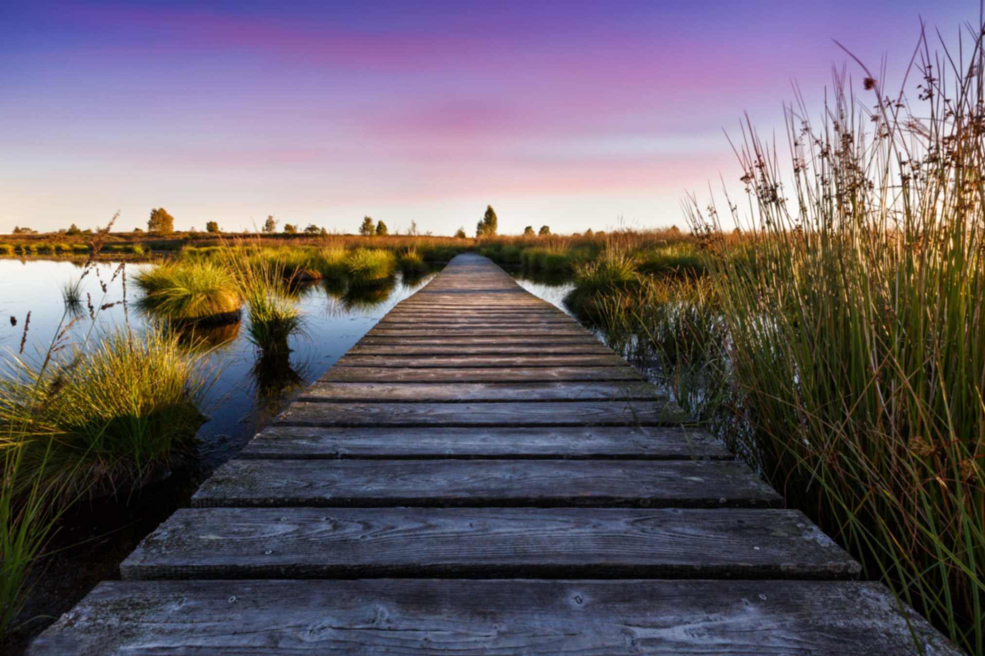 Brackvenn Sunnenuntergang